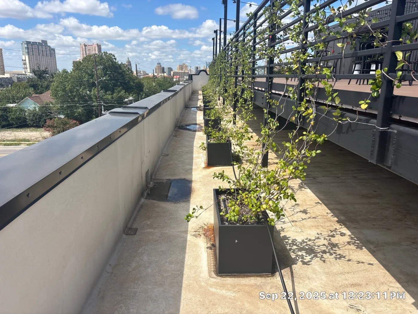 Commercial Roofing The Skyline Inspection