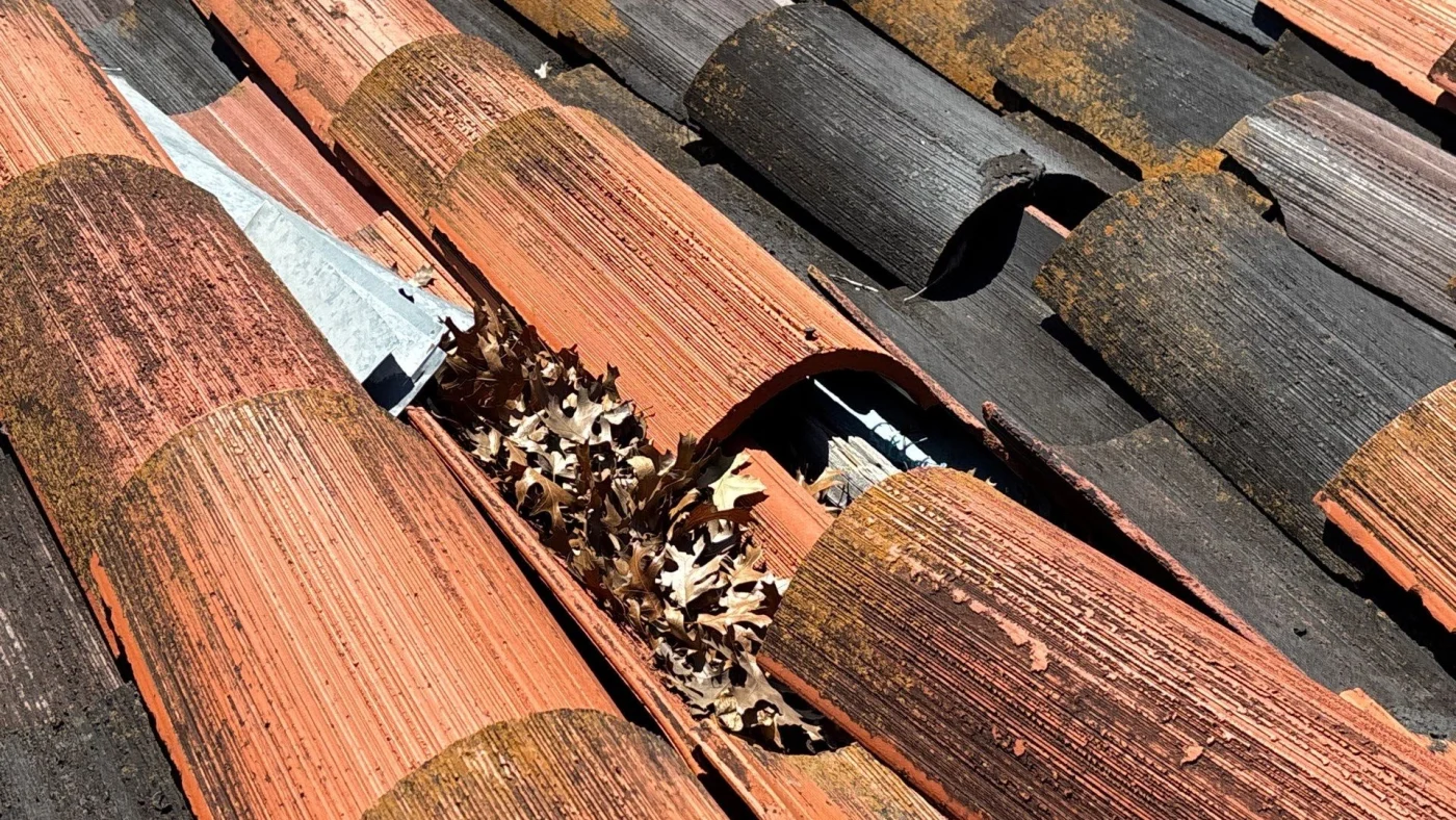 Closeup view of damaged tile roofing