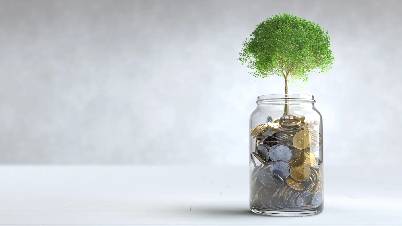 Roofing FInancing Benefits - San Antonio - Lynx Roofing A jar of coins has a tree growing from it